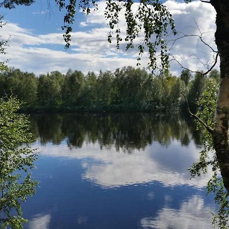 Hallahaukka Ivalo Kültér fotó