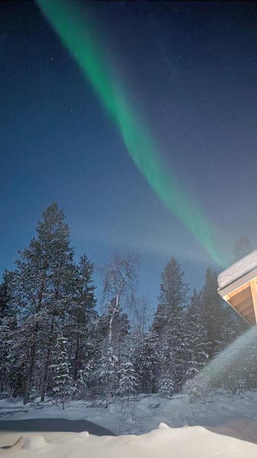 Hallahaukka Ivalo Kültér fotó
