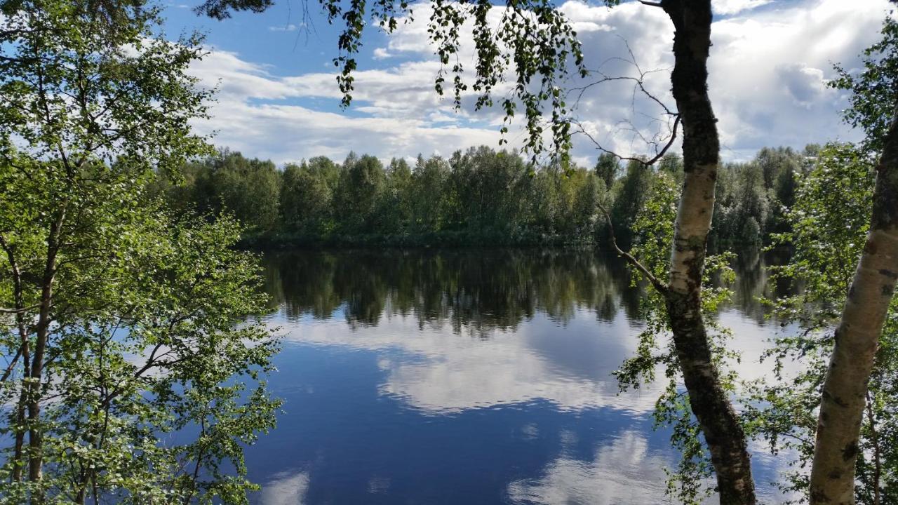 Hallahaukka Ivalo Kültér fotó